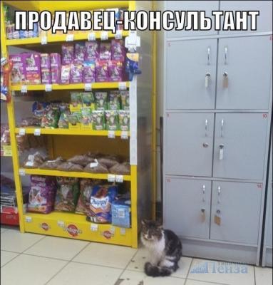 Прикрепленное изображение: t1njg3qYkF0.jpg